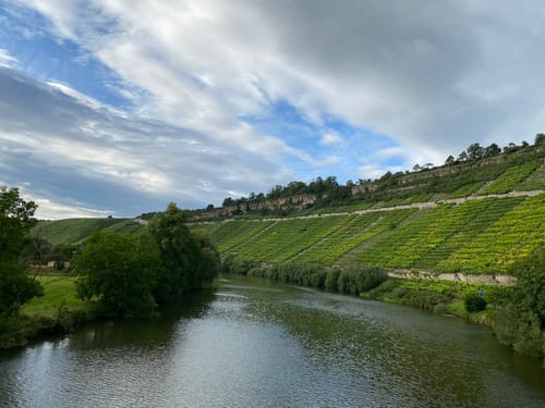 Wein-Tour 3B5