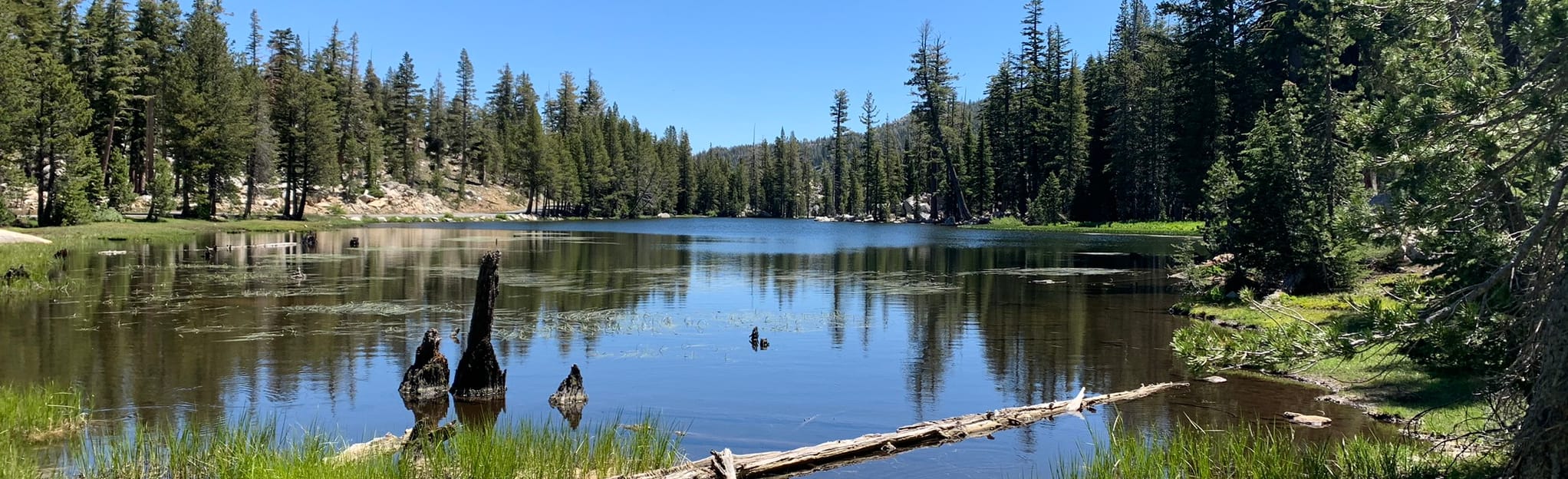 Mosquito Lake to Pacific Valley Trail, California - 14 Reviews, Map