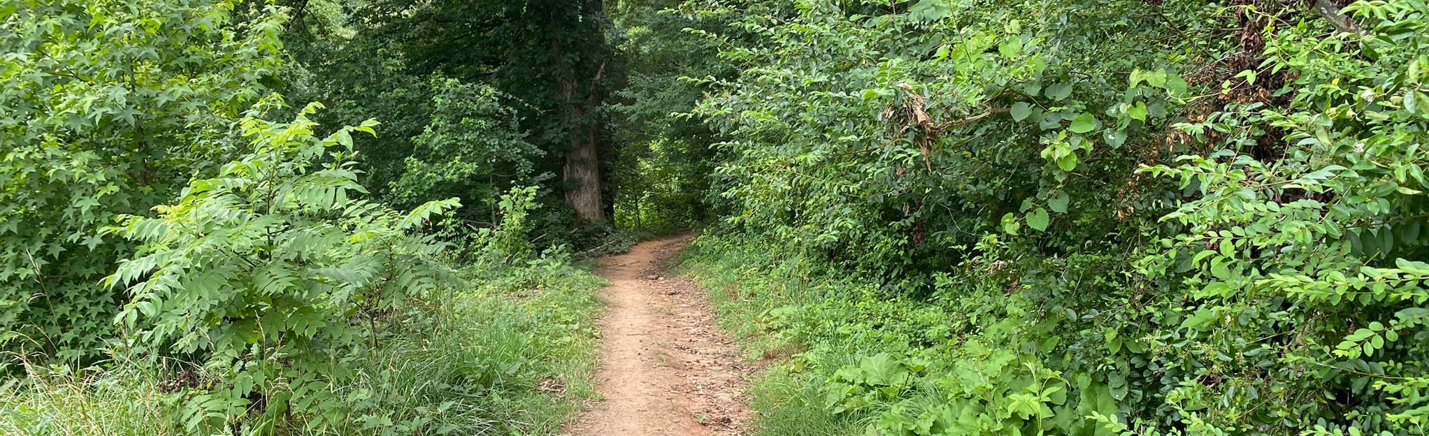 Fisher Farm Main Loop 49 Reviews, Map North Carolina AllTrails