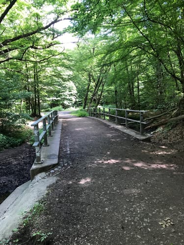 Prießnitzrundweg in der Dresdner Heide