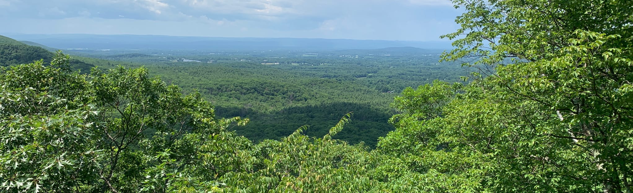 Metacomet Monadnock Trail East - EyJidWNrZXQiOiJhc3NldHMuYWxsdHJhaWxzLmNvbSIsImtleSI6InVwbG9hZHMvcGhvdG8vaW1hZ2UvMjc0OTQxMDUvODFlMDljMGZkYzlkZGI0NGEwZDYyZmM3NDkxNTNjMzguanBnIiwiZWRpdHMiOnsidG9Gb3JtYXQiOiJqcGVnIiwicmVzaXplIjp7IndpZHRoIjoyMDQ0LCJoZWlnaHQiOjYyNCwiZml0IjoiY292ZXIifSwicm90YXRlIjpudWxsLCJqcGVnIjp7InRyZWxsaXNRdWFudGlzYXRpb24iOnRydWUsIm92ZXJzaG9vdERlcmluZ2luZyI6dHJ1ZSwib3B0aW1pc2VTY2FucyI6dHJ1ZSwicXVhbnRpc2F0aW9uVGFibGUiOjN9fX0=