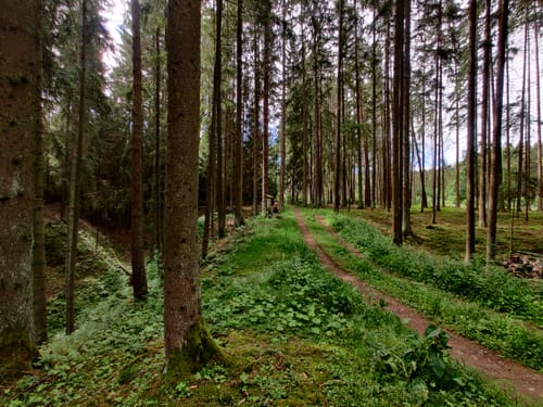 Jurasteig: Höhlenkundliche Schlaufe