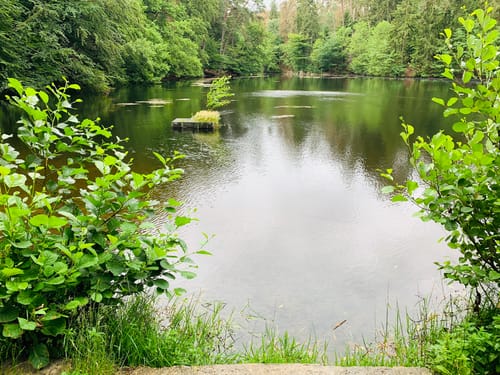 Donoper Teiche im Teutoburger Wald