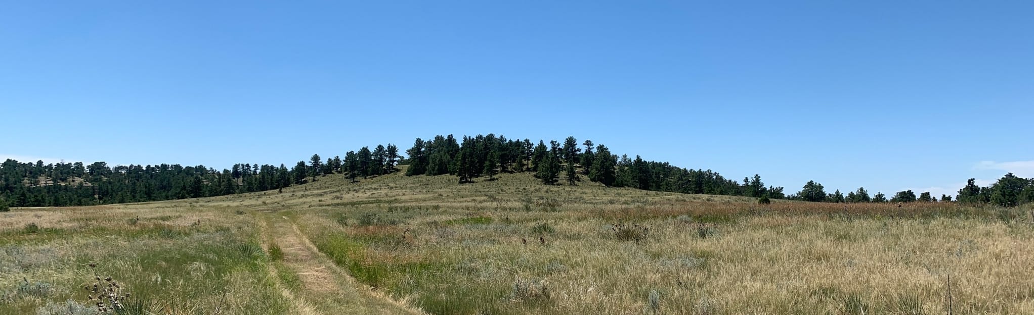 Pine Bluffs Loop, Wyoming 52 Reviews, Map AllTrails