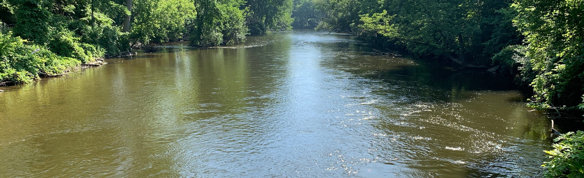 BorderToBorder Trail Ypsilanti Corridor 38 Fotos Michigan AllTrails