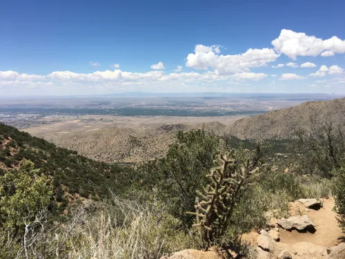 New Mexico Hiking Trails to Try This Summer