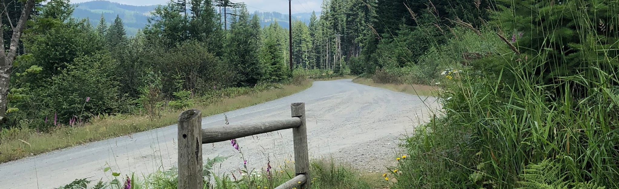 Bells Mountain Trail Yacolt Burn Trailhead to Moulton Falls