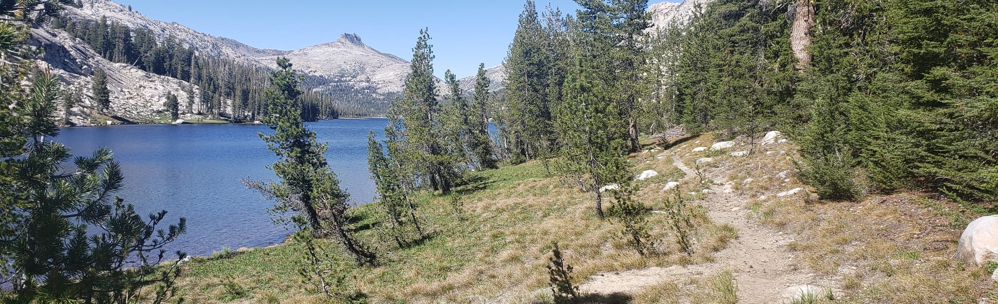 Jack Main Canyon and Tilden Lake Trail 103 Zdjęcia California