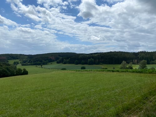 Bismarckeiche Rundweg A4 (Rund um Meiswinkel)