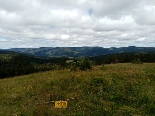 Ibacher Panoramaweg (Genießerpfad)