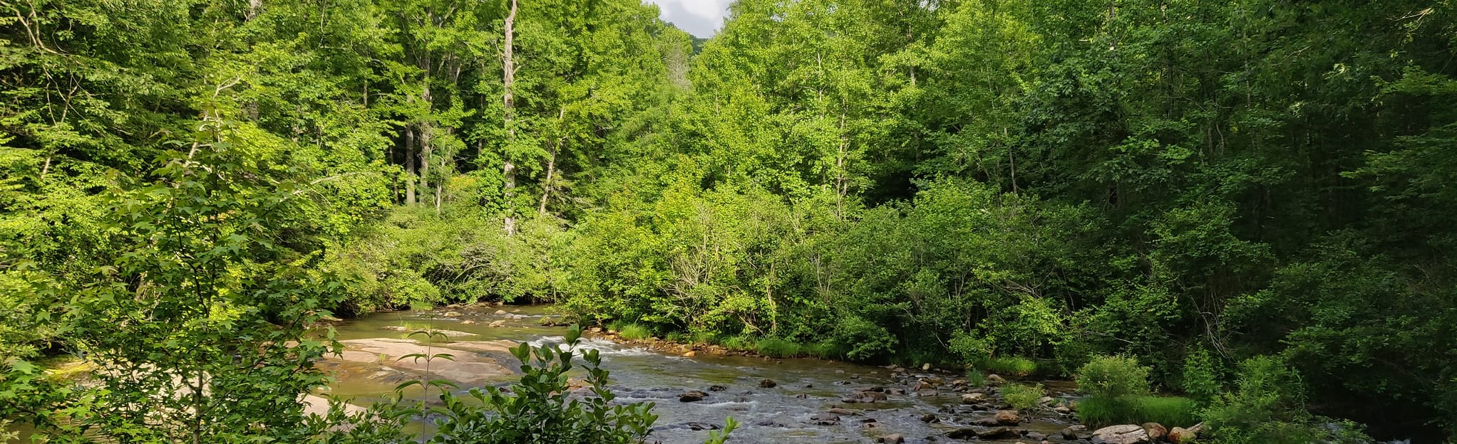 Bad Creek Trailhead to Lower Whitewater Falls Observation Deck 339