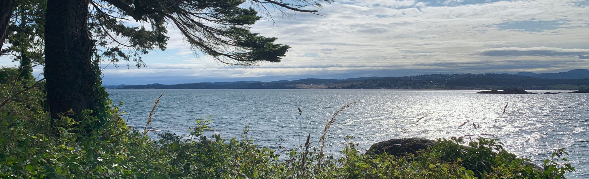 Saxe Point Park Loop: 54 Reviews, Map - British Columbia, Canada ...