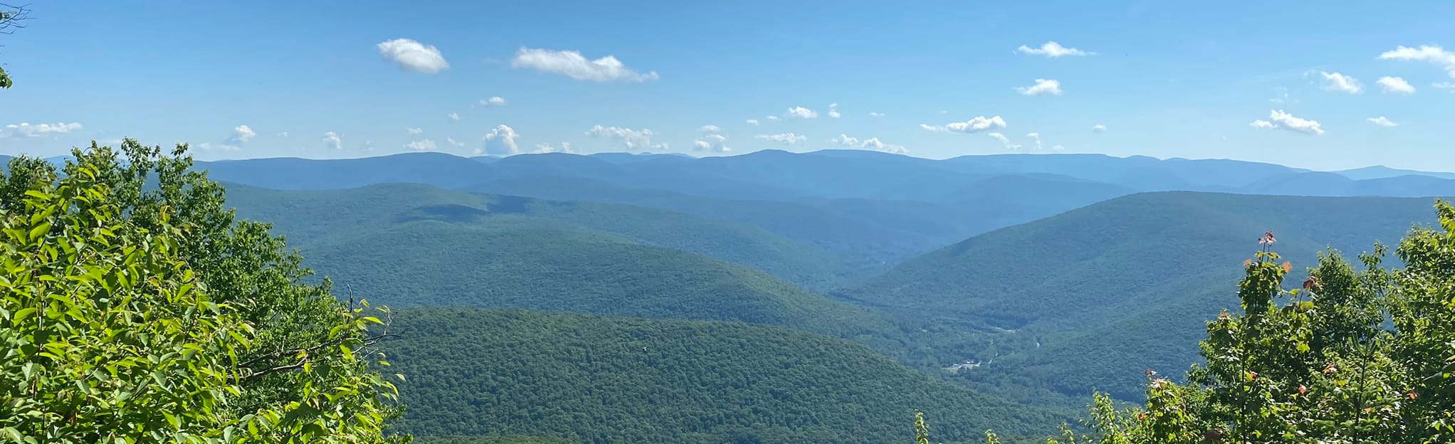 Balsam Mountain from Rider Hollow Rd, New York 909 Reviews, Map