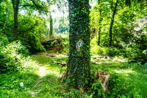 Von Bendorf zur Festung Ehrenbreitstein