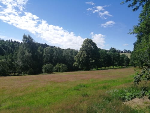 Am Rüdenberg