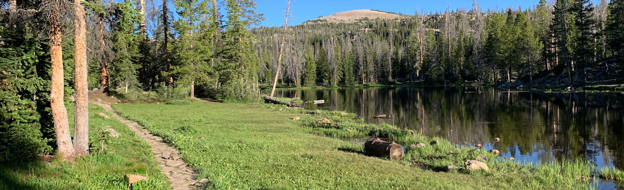 Castle Lake Trail: 12 Reviews, Map - Utah | AllTrails