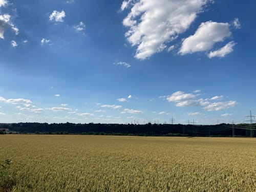 Wendlingen - Neckar - Wernauer Baggerseen