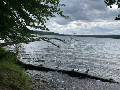 Aus Menz zum Großen Stechlinsee