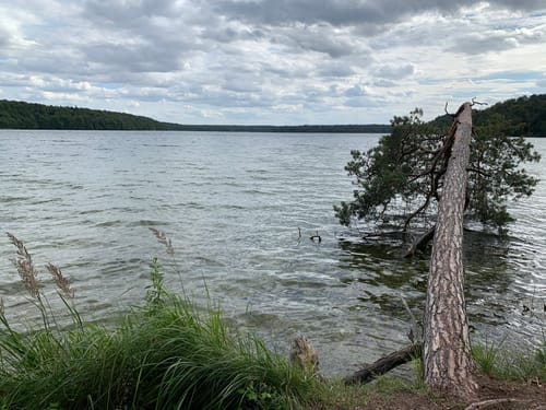 Aus Menz zum Großen Stechlinsee