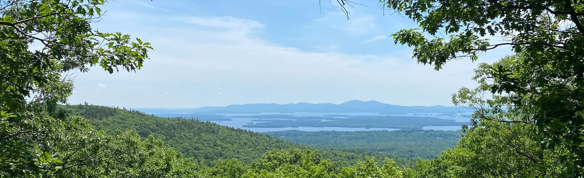 Cold Spring, Faraway Mountain and Bridle Path Loop: 85 Reviews, Map ...