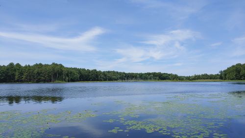 2023 Best Easy Trails in Assabet River National Wildlife Refuge | AllTrails