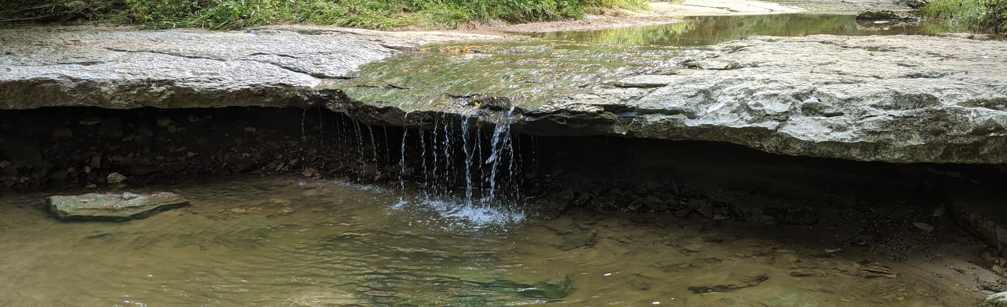 Zen Pool, Iowa 23 Reviews, Map AllTrails