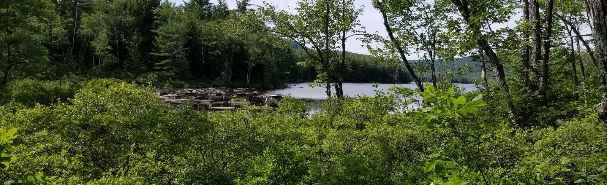 Sanders Hill, Maine - 362 Reviews, Map | AllTrails