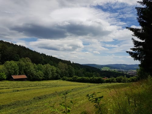 Altnußberg Rundweg