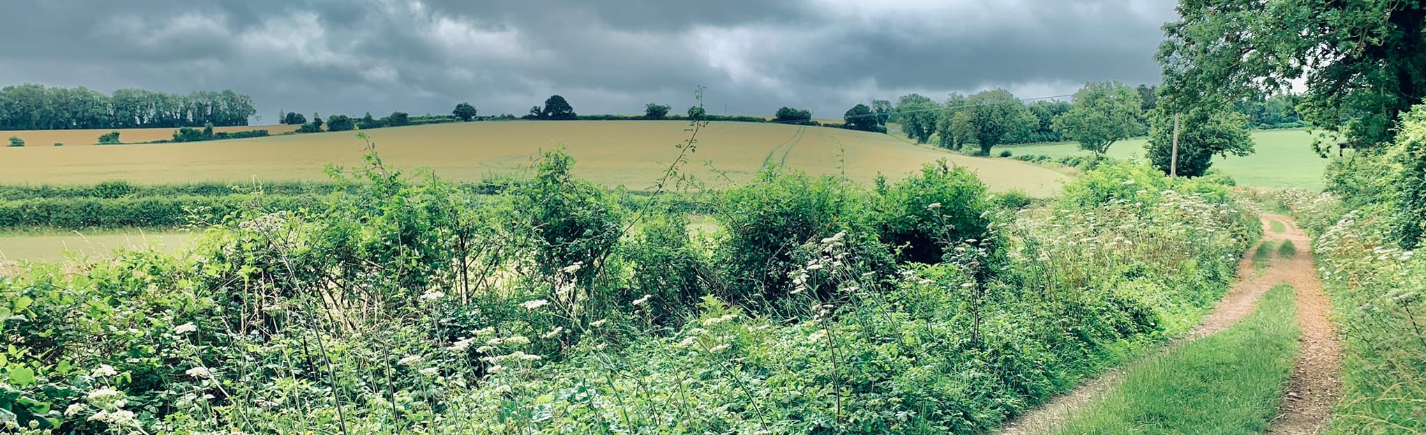 Lower Swanwick and Shorley Circular, Hampshire, England 2 Reviews