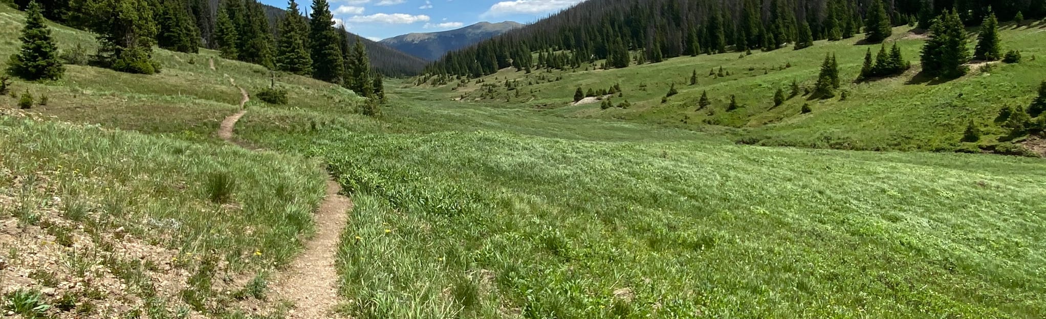 Cache la Poudre River Trail Colorado - EyJidWNrZXQiOiJhc3NldHMuYWxsdHJhaWxzLmNvbSIsImtleSI6InVwbG9hZHMvcGhvdG8vaW1hZ2UvMjc1NzE2NTgvYmJlODc3YWQ5NmQ0ZmI3MjU1ZTg1MmFjZTU4MTJjNjUuanBnIiwiZWRpdHMiOnsidG9Gb3JtYXQiOiJqcGVnIiwicmVzaXplIjp7IndpZHRoIjoyMDQ0LCJoZWlnaHQiOjYyNCwiZml0IjoiY292ZXIifSwicm90YXRlIjpudWxsLCJqcGVnIjp7InRyZWxsaXNRdWFudGlzYXRpb24iOnRydWUsIm92ZXJzaG9vdERlcmluZ2luZyI6dHJ1ZSwib3B0aW1pc2VTY2FucyI6dHJ1ZSwicXVhbnRpc2F0aW9uVGFibGUiOjN9fX0=