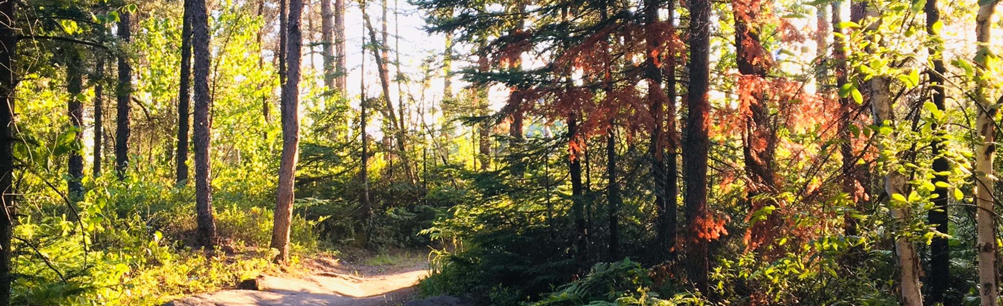 Saguenay Panoramic Trail 20, Quebec, Canada 124 Reviews, Map AllTrails