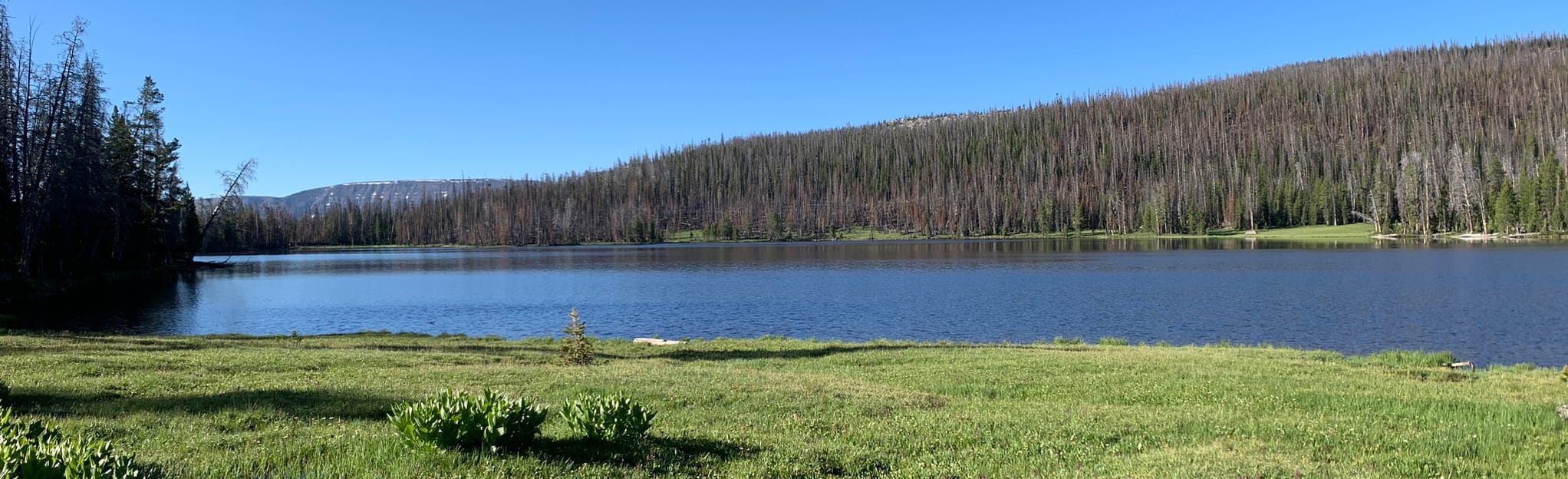 East Fork Duchesne River Trail to Pinto Lake 31 Reviews, Map Utah