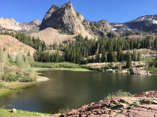 10 Best trails and hikes in Utah AllTrails