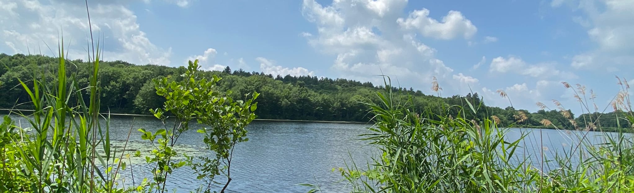 Reservoir, North Mulford and Del Reeves Road 40 Reviews, Map