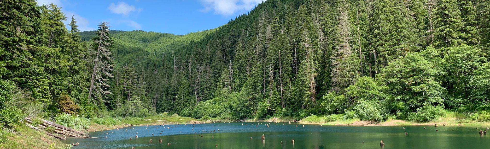 Spider Lake Trail, Washington 197 Reviews, Map AllTrails