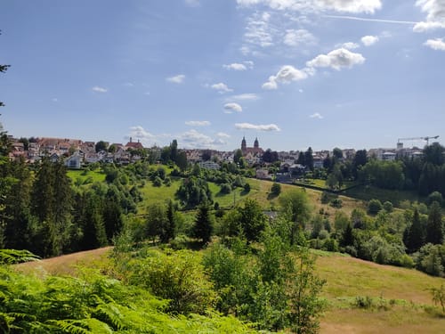 MTB: Finkenberg-Tour