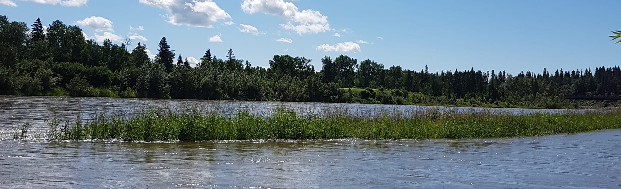 Heritage Ranch Pond Loop Alberta, Canada AllTrails