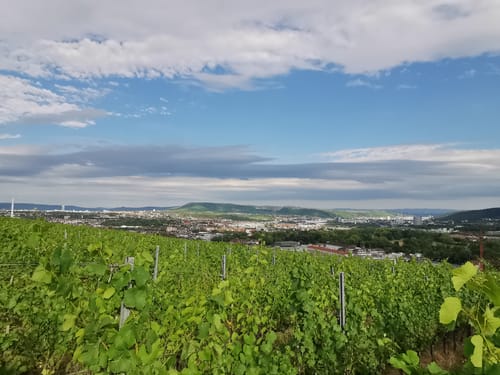 Rössleweg (Stuttgarter Rundwanderweg)