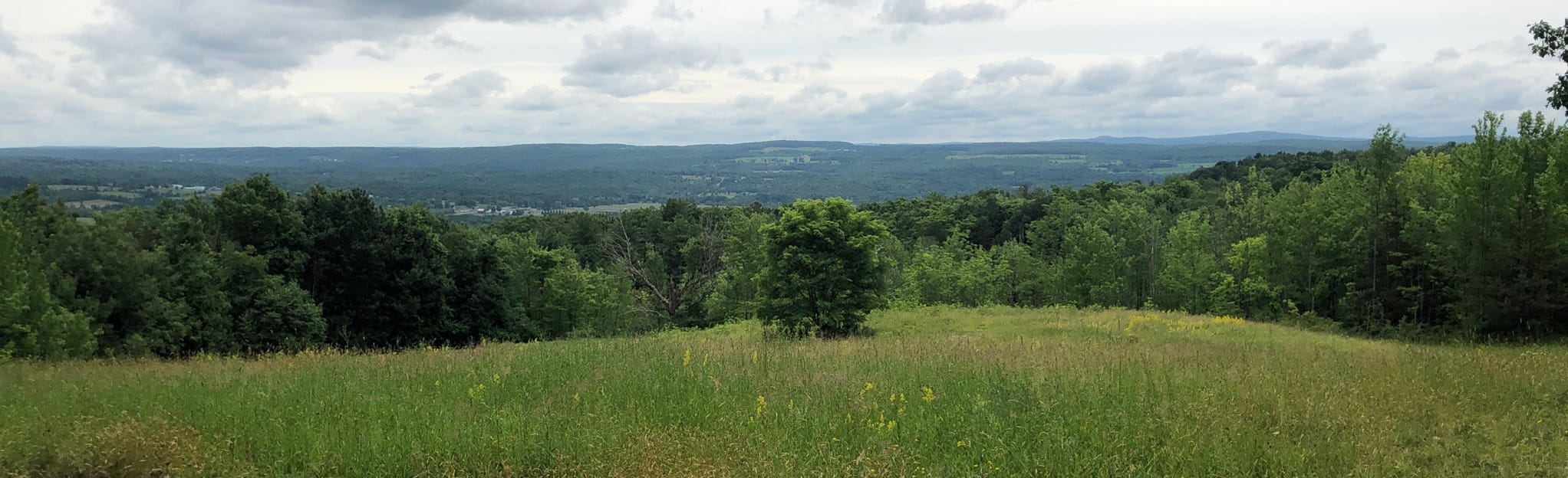 Landis Arboretum Outer Loop 198 foto's New York AllTrails