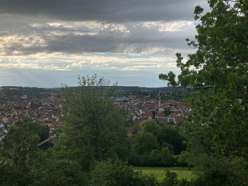 Nürtinger Citytrail zum Ersberg 