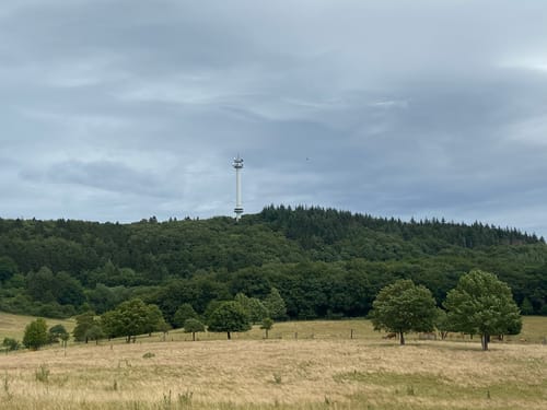 Waldseepfad Rieden (Traumpfad)