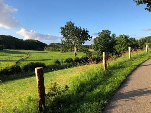 Langballigholz - Unewatt - Ringsberg