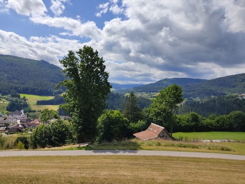 Baiersbronner Panoramasteig (Genießerpfad)