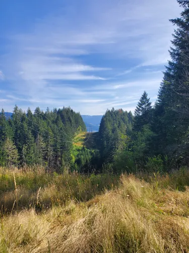 10 Best Hikes and Trails in Columbia River Gorge National Scenic Area