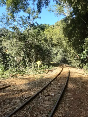 10ª Trilha do Galo