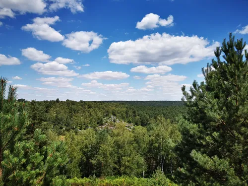クロード・モネ、Road in the Forest of Fontainebl The forest - Fontainebleau Tourisme - Fontainebleau Tourisme