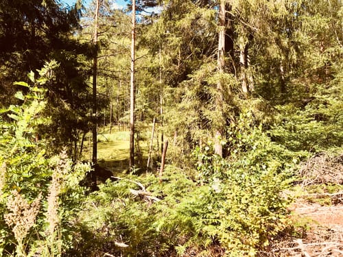 Einmal durch das Schlaubetal: Müllrose bis zur Schlaubemühle