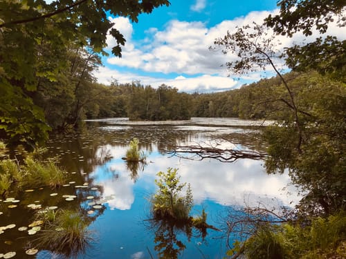 Schlaubetal um den Kleinen Treppelsee