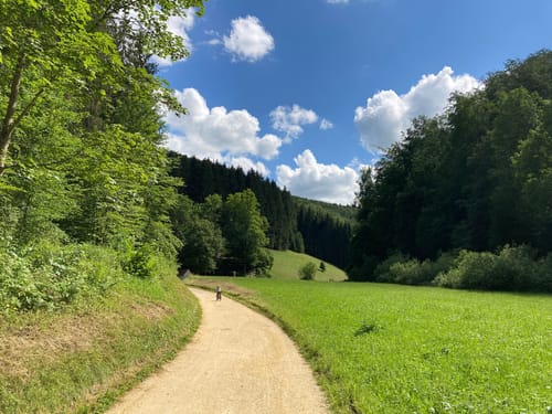Albtraufgänger Etappe 1: Wiesensteig - Deutsches Haus