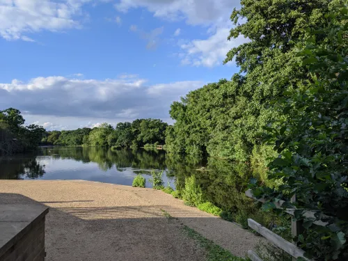 Best River Trails In Epping Forest 